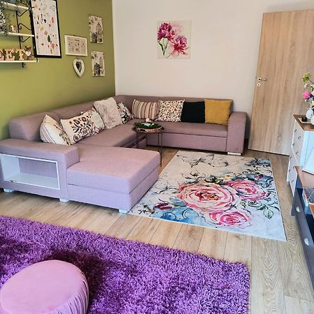 Sweet Garden Residence Braşov Dış mekan fotoğraf