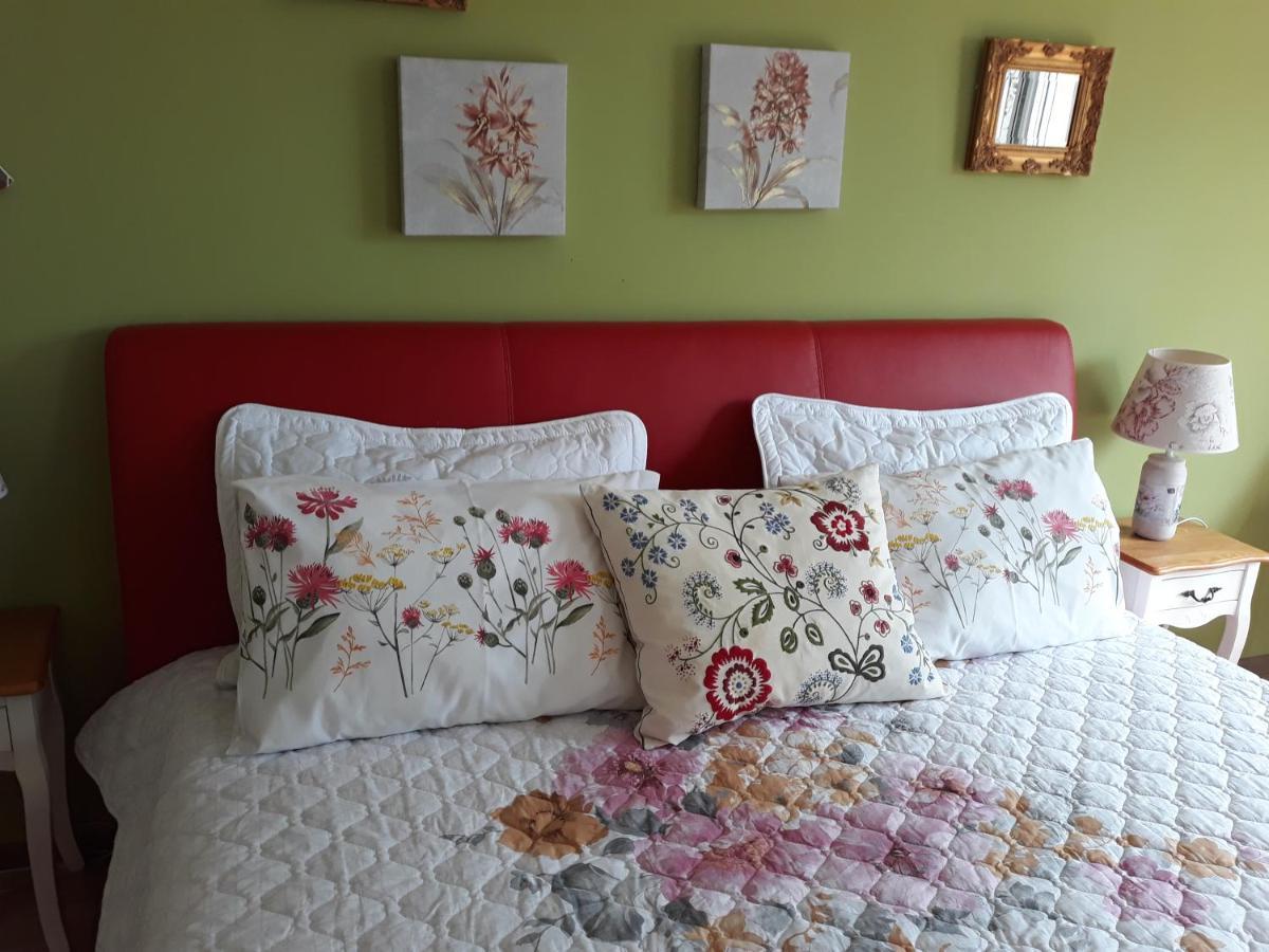 Sweet Garden Residence Braşov Dış mekan fotoğraf