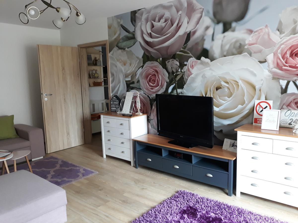 Sweet Garden Residence Braşov Dış mekan fotoğraf