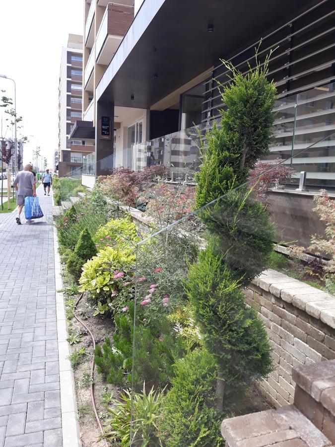 Sweet Garden Residence Braşov Dış mekan fotoğraf